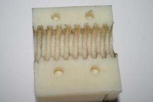 IMG_0821.JPG (2870 просмотров) <a class='original' href='./download/file.php?id=23681&mode=view' target=_blank>Загрузить оригинал (179.1 КБ)</a>