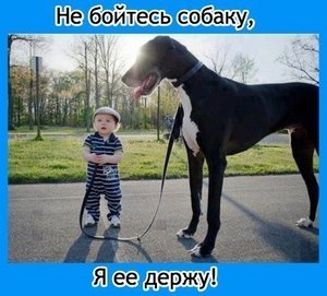 2.JPG (2970 просмотров) <a class='original' href='./download/file.php?id=23919&mode=view' target=_blank>Загрузить оригинал (57.11 КБ)</a>