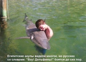 JjdajsZrZCk.jpg (2970 просмотров) <a class='original' href='./download/file.php?id=23920&mode=view' target=_blank>Загрузить оригинал (62.07 КБ)</a>