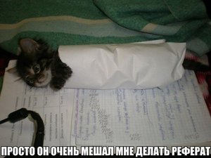 -KdqN2hU59g.jpg (2970 просмотров) <a class='original' href='./download/file.php?id=23921&mode=view' target=_blank>Загрузить оригинал (55.61 КБ)</a>