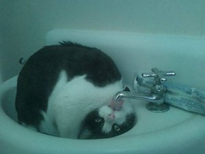 getImage (1).jpg (2861 просмотр) <a class='original' href='./download/file.php?id=24252&mode=view' target=_blank>Загрузить оригинал (25.73 КБ)</a>