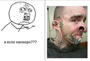 getImage.jpg (1808 просмотров) <a class='original' href='./download/file.php?id=25011&mode=view' target=_blank>Загрузить оригинал (33.6 КБ)</a>