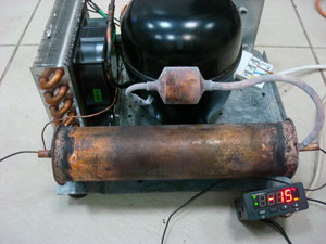 DSC04013.JPG (4544 просмотра) <a class='original' href='./download/file.php?id=25057&mode=view' target=_blank>Загрузить оригинал (2.07 МБ)</a>