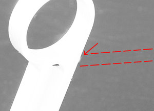 podderjka.jpg (2886 просмотров) <a class='original' href='./download/file.php?id=25106&mode=view' target=_blank>Загрузить оригинал (121.89 КБ)</a>