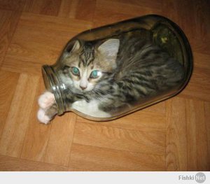 21dcf9cebd804e2c24165f276b2bd733.jpg (2082 просмотра) <a class='original' href='./download/file.php?id=25117&mode=view' target=_blank>Загрузить оригинал (26.12 КБ)</a>