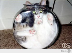 7689dc7f9ef4ccb83487f4a3de0f6916.jpg (2082 просмотра) <a class='original' href='./download/file.php?id=25119&mode=view' target=_blank>Загрузить оригинал (25.11 КБ)</a>