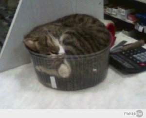 91014bbb1c73225706410cb837b9b2a0.jpg (2082 просмотра) <a class='original' href='./download/file.php?id=25121&mode=view' target=_blank>Загрузить оригинал (19.64 КБ)</a>