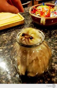 fad8ca90fdba821c0291bc6e8fe7b775.jpg (2082 просмотра) <a class='original' href='./download/file.php?id=25125&mode=view' target=_blank>Загрузить оригинал (41.89 КБ)</a>