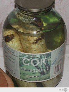 Сок березовый с мякотью.jpg (2175 просмотров) <a class='original' href='./download/file.php?id=25382&mode=view' target=_blank>Загрузить оригинал (48.27 КБ)</a>