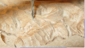 фреза 1,5мм сферическая (8927 просмотров) <a class='original' href='./download/file.php?id=25387&mode=view' target=_blank>Загрузить оригинал (2.39 МБ)</a>