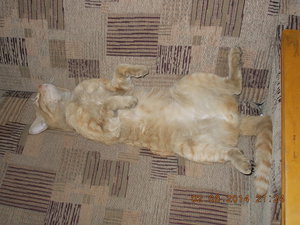 DSCN2553.JPG (2111 просмотров) <a class='original' href='./download/file.php?id=25483&mode=view' target=_blank>Загрузить оригинал (255.21 КБ)</a>