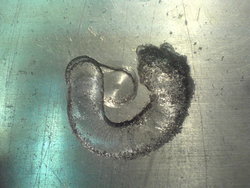 DSC06521_resize.JPG (11399 просмотров) <a class='original' href='./download/file.php?id=2643&mode=view' target=_blank>Загрузить оригинал (186.71 КБ)</a>