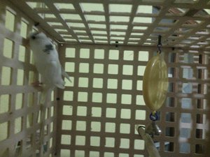 IMG_20140406_013623.jpg (2752 просмотра) <a class='original' href='./download/file.php?id=26678&mode=view' target=_blank>Загрузить оригинал (233.34 КБ)</a>