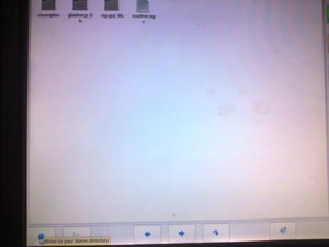 20140406-012.jpeg (5888 просмотров) <a class='original' href='./download/file.php?id=26690&mode=view' target=_blank>Загрузить оригинал (442.42 КБ)</a>