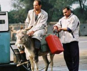 13988.jpg (2763 просмотра) <a class='original' href='./download/file.php?id=26698&mode=view' target=_blank>Загрузить оригинал (67.39 КБ)</a>