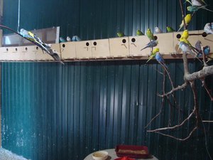 DSC04061.JPG (2825 просмотров) <a class='original' href='./download/file.php?id=26892&mode=view' target=_blank>Загрузить оригинал (128.58 КБ)</a>