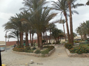 DSCN0630.JPG (2609 просмотров) <a class='original' href='./download/file.php?id=27576&mode=view' target=_blank>Загрузить оригинал (3.53 МБ)</a>