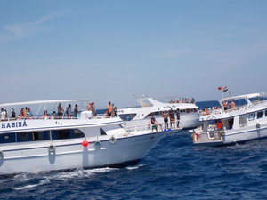 Морская прогулка, поездка в дом дельфинов, классная экскурсия. (2609 просмотров) <a class='original' href='./download/file.php?id=27580&mode=view' target=_blank>Загрузить оригинал (3.67 МБ)</a>