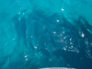 DSCN0843.JPG (2609 просмотров) <a class='original' href='./download/file.php?id=27584&mode=view' target=_blank>Загрузить оригинал (3.43 МБ)</a>