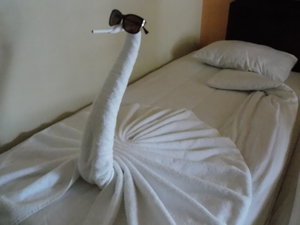 В другой день обнаружили в кровати это (2609 просмотров) <a class='original' href='./download/file.php?id=27585&mode=view' target=_blank>Загрузить оригинал (3.39 МБ)</a>