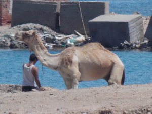 DSCN0974.JPG (2609 просмотров) <a class='original' href='./download/file.php?id=27586&mode=view' target=_blank>Загрузить оригинал (3.85 МБ)</a>