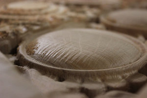 IMG_2493.JPG (3331 просмотр) <a class='original' href='./download/file.php?id=28550&mode=view' target=_blank>Загрузить оригинал (69.05 КБ)</a>