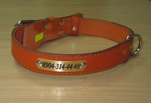 IMG_0969.JPG (10517 просмотров) <a class='original' href='./download/file.php?id=29189&mode=view' target=_blank>Загрузить оригинал (804.46 КБ)</a>