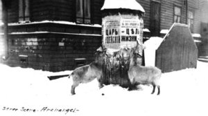 d6a33af6.jpg (1874 просмотра) <a class='original' href='./download/file.php?id=29744&mode=view' target=_blank>Загрузить оригинал (44.18 КБ)</a>