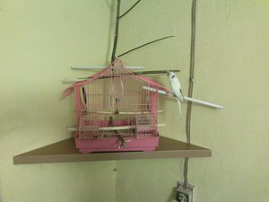 IMG_20140629_010508.jpg (2862 просмотра) <a class='original' href='./download/file.php?id=30208&mode=view' target=_blank>Загрузить оригинал (188.94 КБ)</a>