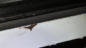 P1030439_1.JPG (3820 просмотров) <a class='original' href='./download/file.php?id=30459&mode=view' target=_blank>Загрузить оригинал (298.4 КБ)</a>