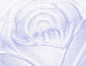 A sparse set of deflection vectors computed from these captured patterns. (9312 просмотров) <a class='original' href='./download/file.php?id=31062&mode=view' target=_blank>Загрузить оригинал (45.02 КБ)</a>