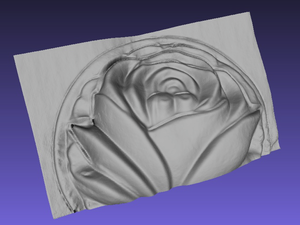 The reconstructed shape of the flower glass. (9312 просмотров) <a class='original' href='./download/file.php?id=31064&mode=view' target=_blank>Загрузить оригинал (206.63 КБ)</a>