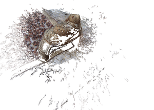 котэ06.png (10901 просмотр) <a class='original' href='./download/file.php?id=3120&mode=view' target=_blank>Загрузить оригинал (694.24 КБ)</a>