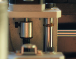 DSC03519.jpg (3222 просмотра) <a class='original' href='./download/file.php?id=31736&mode=view' target=_blank>Загрузить оригинал (598.13 КБ)</a>