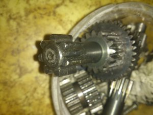 DSC_3050.jpg (3691 просмотр) <a class='original' href='./download/file.php?id=31780&sid=db2c6a2d7302b86402a8eca45b34c0e1&mode=view' target=_blank>Загрузить оригинал (2.45 МБ)</a>