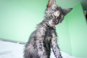 DSC06453.jpg (4941 просмотр) <a class='original' href='./download/file.php?id=31827&mode=view' target=_blank>Загрузить оригинал (8.74 МБ)</a>