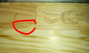 2014-08-15 14.31.27 copy.jpg (11663 просмотра) <a class='original' href='./download/file.php?id=32052&mode=view' target=_blank>Загрузить оригинал (319.61 КБ)</a>