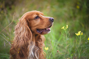 IMG_1093.jpg (7159 просмотров) <a class='original' href='./download/file.php?id=32676&mode=view' target=_blank>Загрузить оригинал (287.53 КБ)</a>