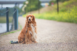 IMG_1071.jpg (7159 просмотров) <a class='original' href='./download/file.php?id=32677&mode=view' target=_blank>Загрузить оригинал (332.63 КБ)</a>