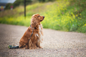 IMG_1067_web.jpg (7159 просмотров) <a class='original' href='./download/file.php?id=32678&mode=view' target=_blank>Загрузить оригинал (343.24 КБ)</a>