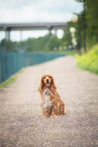 IMG_1100web.jpg (7159 просмотров) <a class='original' href='./download/file.php?id=32679&mode=view' target=_blank>Загрузить оригинал (295.3 КБ)</a>