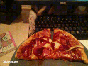 BumazhnySamoletik.gif (2373 просмотра) <a class='original' href='./download/file.php?id=32908&mode=view' target=_blank>Загрузить оригинал (4.12 МБ)</a>