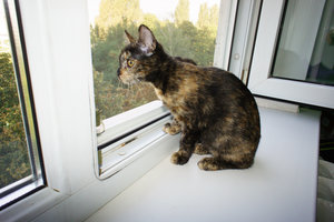 DSC07035.jpg (4843 просмотра) <a class='original' href='./download/file.php?id=33010&mode=view' target=_blank>Загрузить оригинал (704.79 КБ)</a>