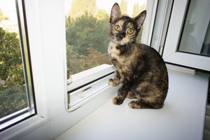 DSC07036.jpg (4843 просмотра) <a class='original' href='./download/file.php?id=33011&mode=view' target=_blank>Загрузить оригинал (709.56 КБ)</a>