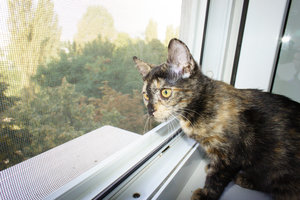 DSC07037.jpg (4843 просмотра) <a class='original' href='./download/file.php?id=33012&mode=view' target=_blank>Загрузить оригинал (925.79 КБ)</a>