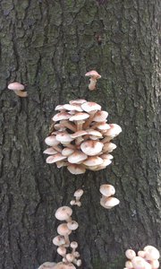 IMAG0771.jpg (2053 просмотра) <a class='original' href='./download/file.php?id=33230&mode=view' target=_blank>Загрузить оригинал (1.01 МБ)</a>