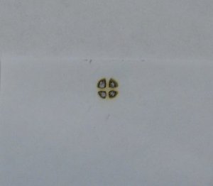 DSCN8464.JPG (4570 просмотров) <a class='original' href='./download/file.php?id=33249&mode=view' target=_blank>Загрузить оригинал (68.44 КБ)</a>