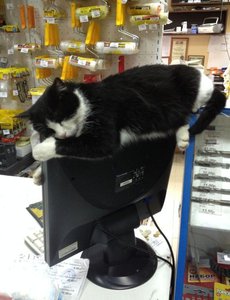 17_1.jpg (2405 просмотров) <a class='original' href='./download/file.php?id=33411&mode=view' target=_blank>Загрузить оригинал (74.36 КБ)</a>