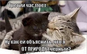 rYh849H_3wE.jpg (1410 просмотров) <a class='original' href='./download/file.php?id=33754&mode=view' target=_blank>Загрузить оригинал (39.98 КБ)</a>