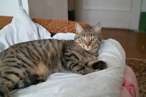 SDIM0835.jpg (2479 просмотров) <a class='original' href='./download/file.php?id=33864&mode=view' target=_blank>Загрузить оригинал (1.37 МБ)</a>